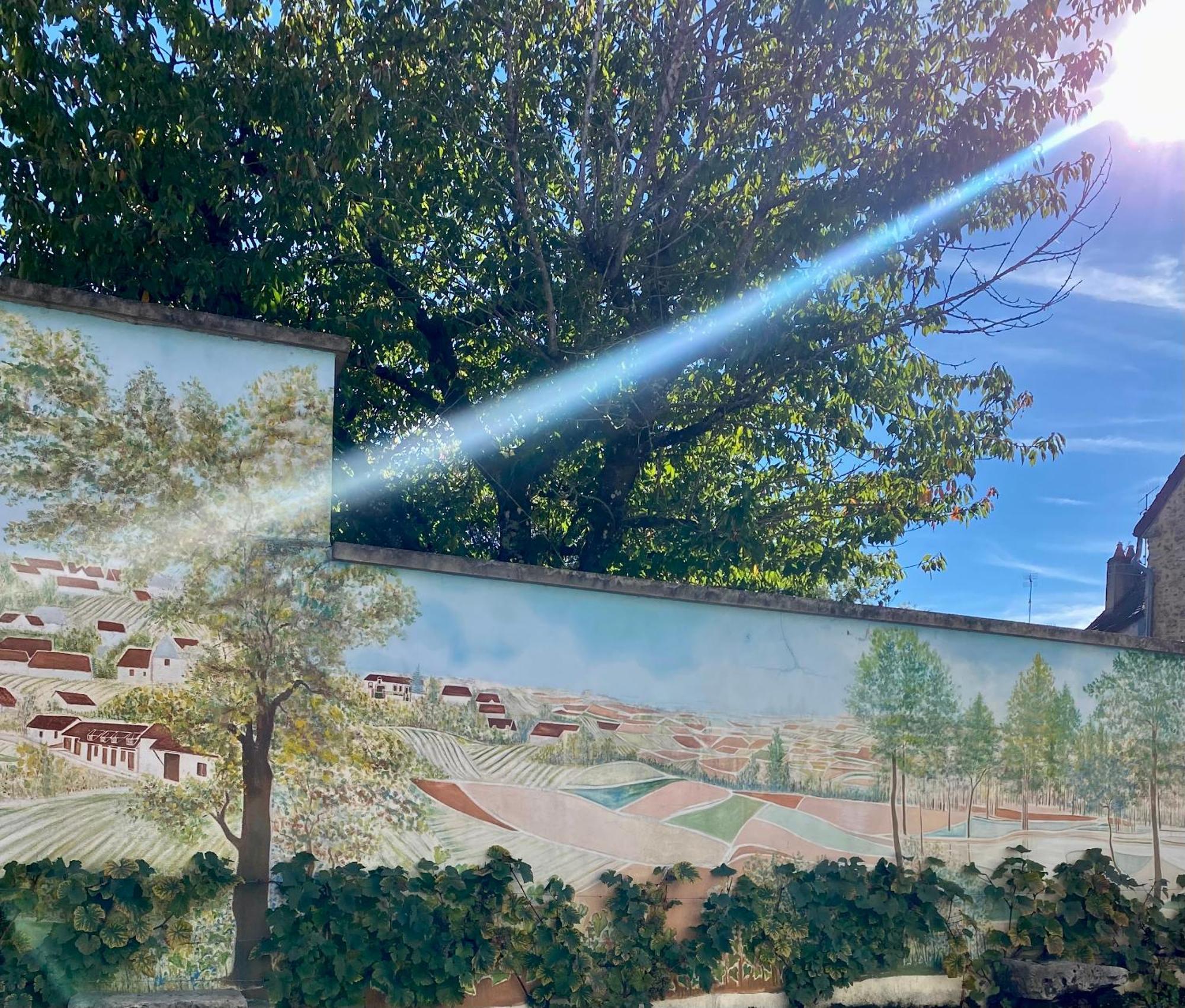 Sézanne Domaine Du Cellier De La Couronne B&B 외부 사진